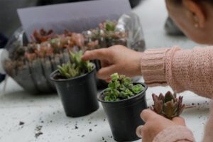EN EL PUEBLITO DE LAS VIZCACHAS SE REALIZARÁ LA 1° FERIA DE JARDINERÍA