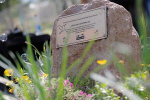 PUENTE MUJER REALIZARÁ ACTIVIDADES EN CONMEMORACIÓN AL DUELO GESTACIONAL, PERINATAL Y NEONATAL